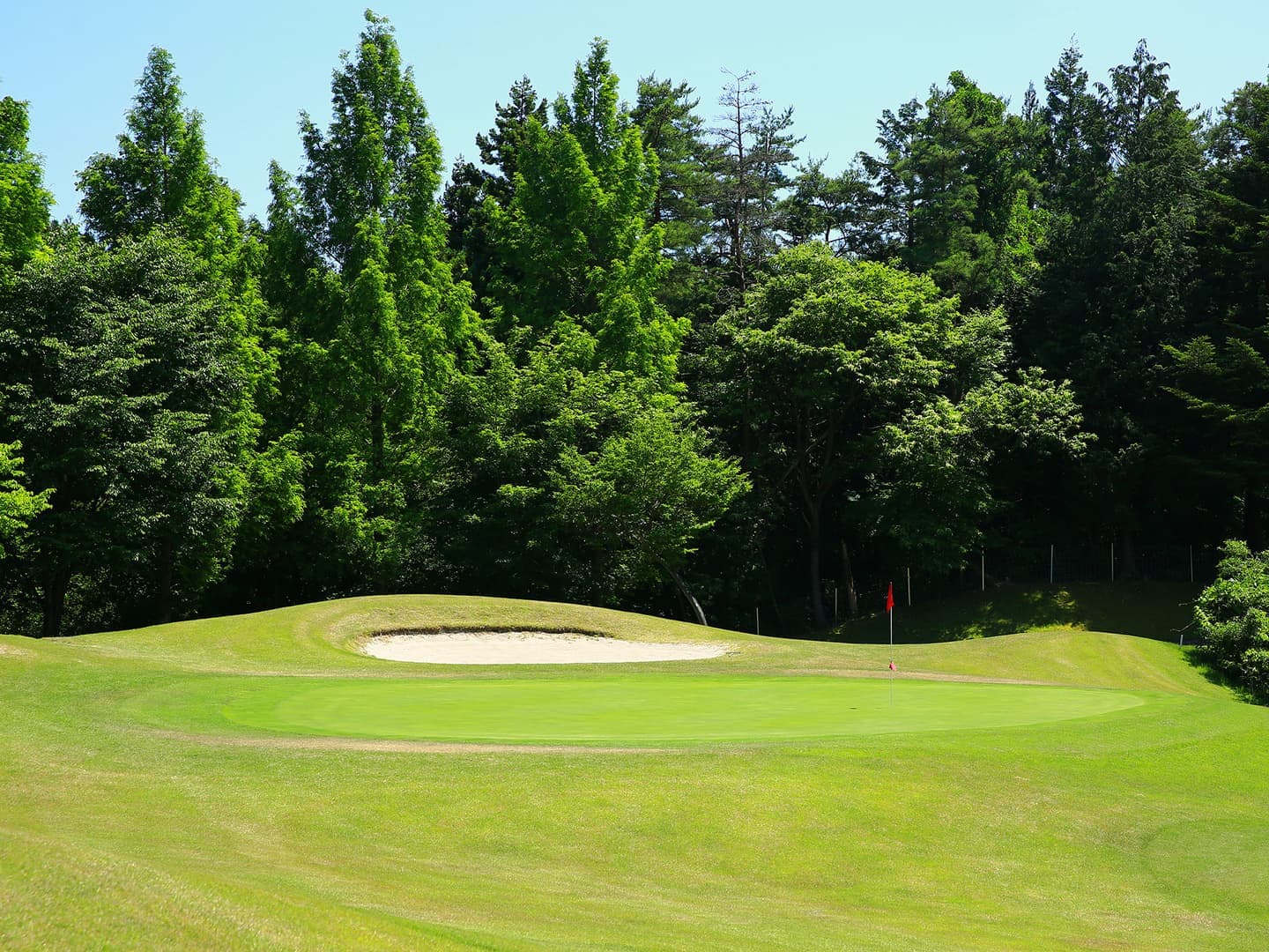 Hole14 グリーン付近