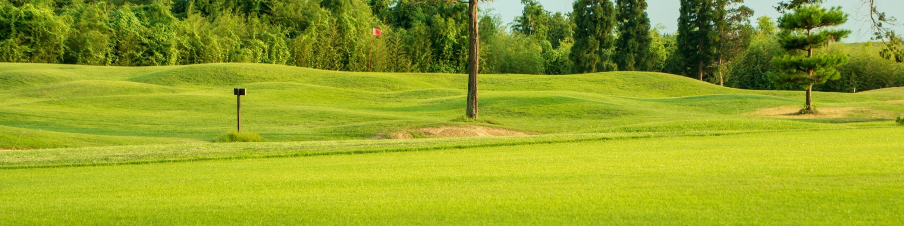 アクセス イメージ